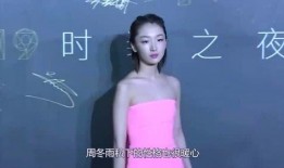娱乐吃瓜大美丽,揭秘娱乐圈幕后故事